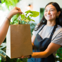 Emprendimiento como alivio financiero